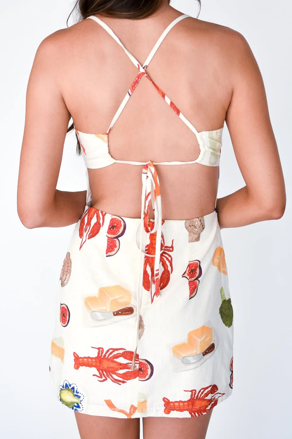 Cape Cod Mini Dress